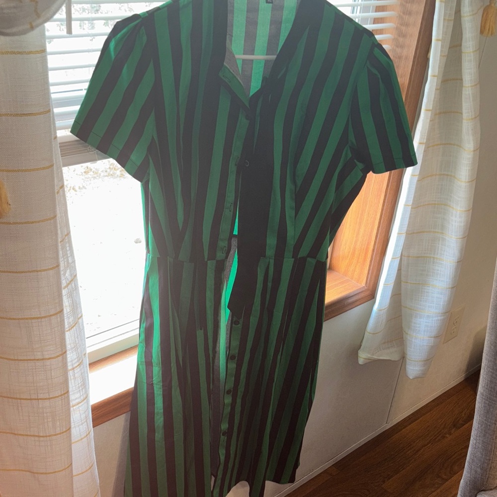 Green and Black Striped Button-Front Dress